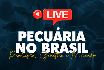 LIVE PECUÁRIA NO BRASIL - PRODUÇÃO GENÉTICA E MERCADO